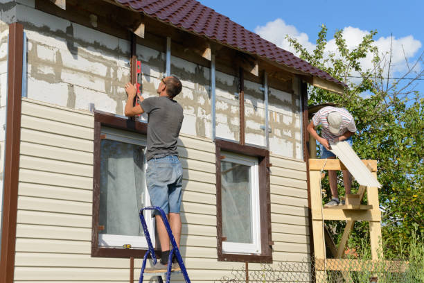 Best Siding Removal and Disposal  in Charles City, IA