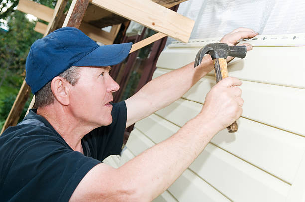 Best Siding Painting and Refinishing  in Charles City, IA