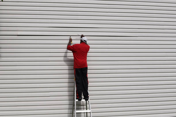 Best Historical Building Siding Restoration  in Charles City, IA